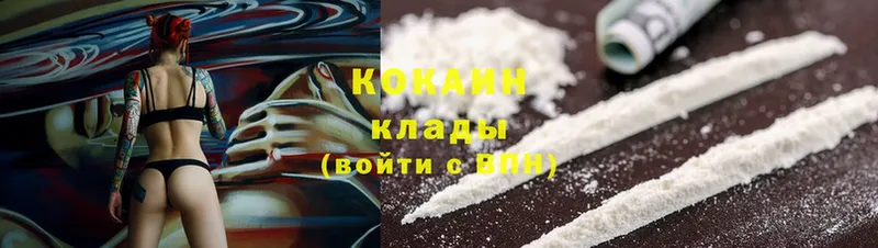 мега вход  Мончегорск  Cocaine Fish Scale  наркотики 